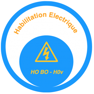 Macaron habilitation electrique HO BO- H0v.
